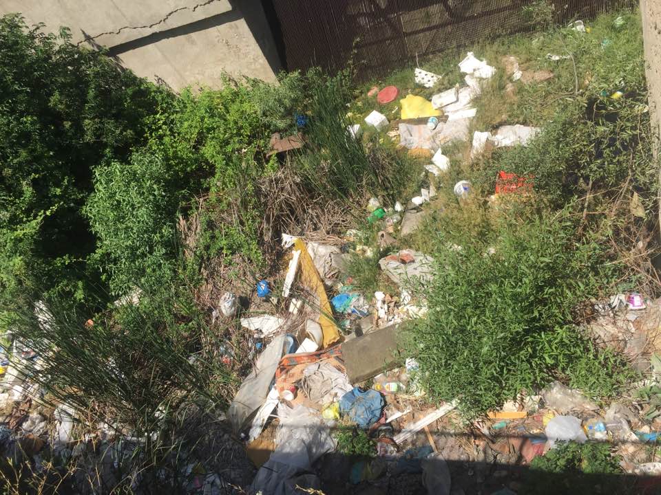 Sonunda Muhtar İsyan Etti