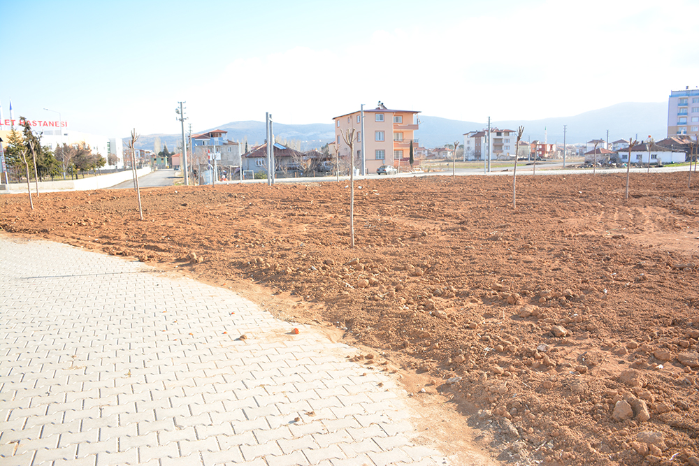 ıyaş üçgen Park’ın Fidan Dikimi Yapıldı