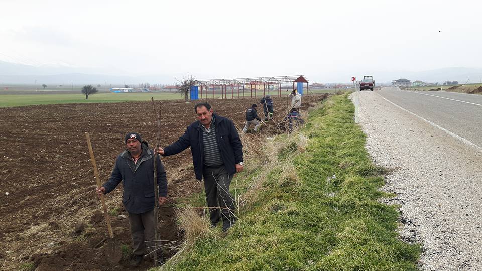 Haydarlı Belediye Başkanı Kadir öcel Yol Güzergahlarını Ağaçlandırıyor