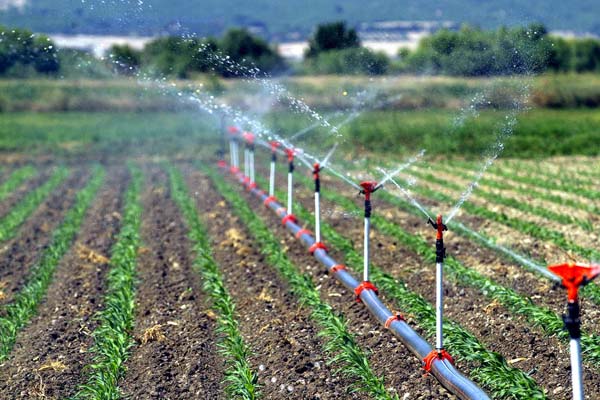 Dsi Genel Müdürü Acu;’sulamada Hedef 5 Yıldızlı Projeler