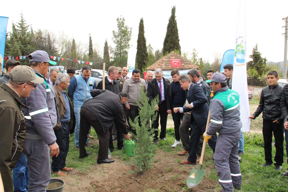 Dinar Dikici Köyünde Fidan Dikimi