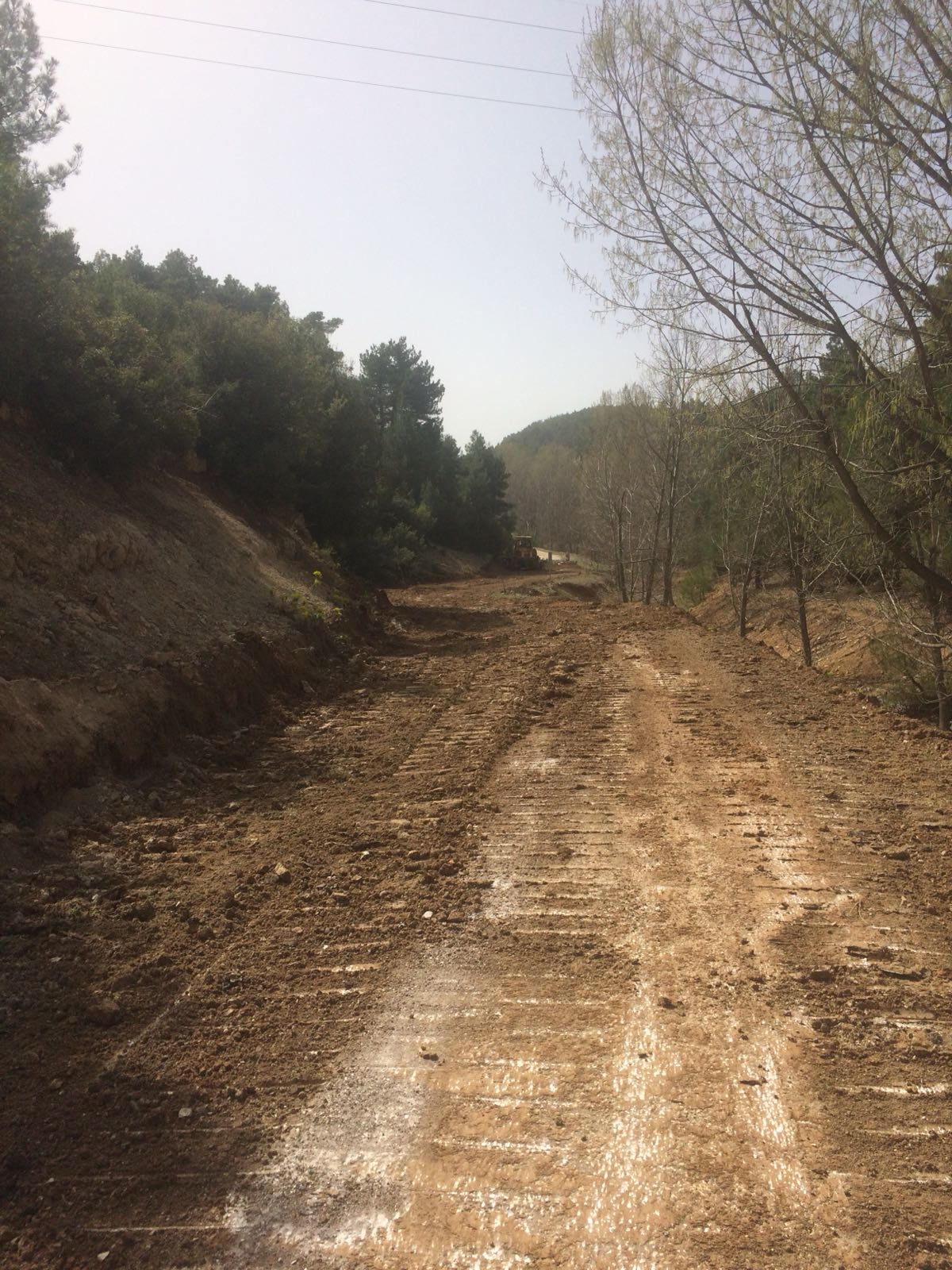 Pınarlı Mesire Alanında çalışmalar Devam Ediyor