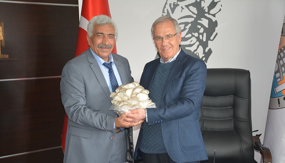 Dinar’da Organik İstiridye Mantarı üretimi Başladı