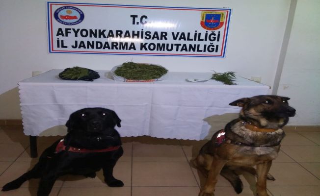 Sandıklı Ve Dinar’da Uyuşturucu Operasyonu