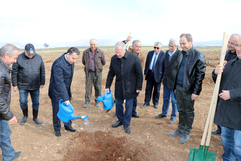 Dinar Organize Sanayi Bölgesine 1000 Adet Badem Fidanı Dikildi