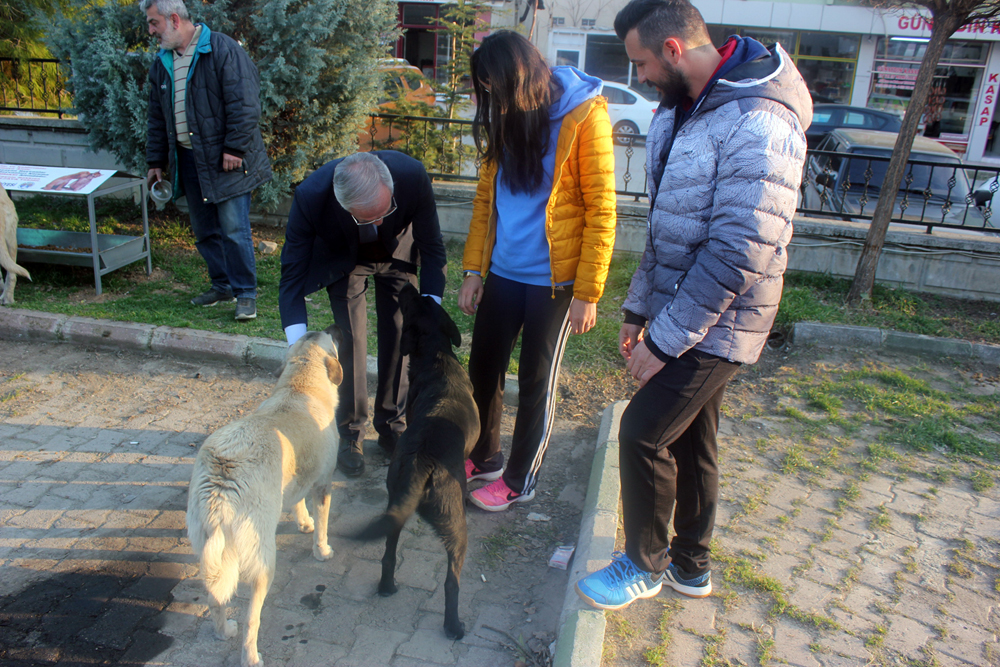 Sokak Hayvanları İçin Besleme Odakları Ve Bayat Ekmek Kutuları Yerleştirildi