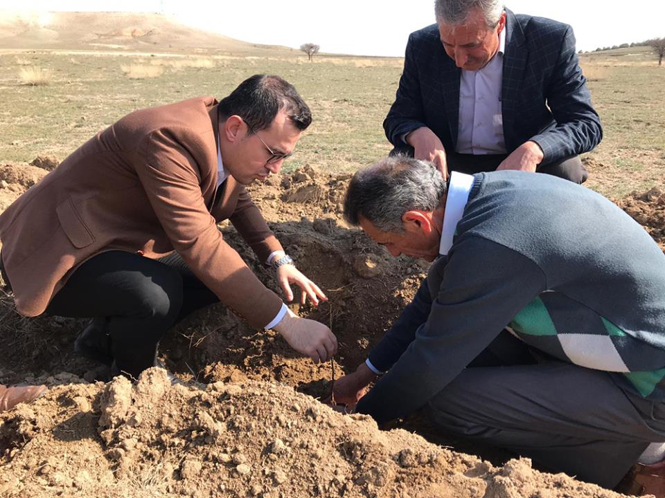 Dazkırı Osb Alanına 2.000 Adet Badem Fidanı Dikildi