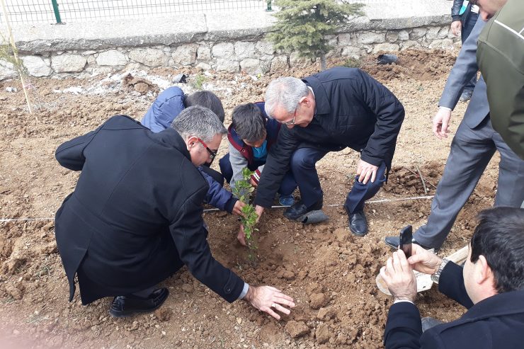 Denetimli Serbestlik Müdürlüğünden, Okul Bahçelerini Yeşillendirelim Projesi