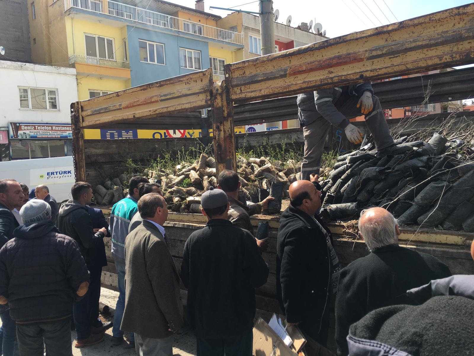 Dinar Orman İşletme Müdürlüğü üç Bin Fidan Dağıttı