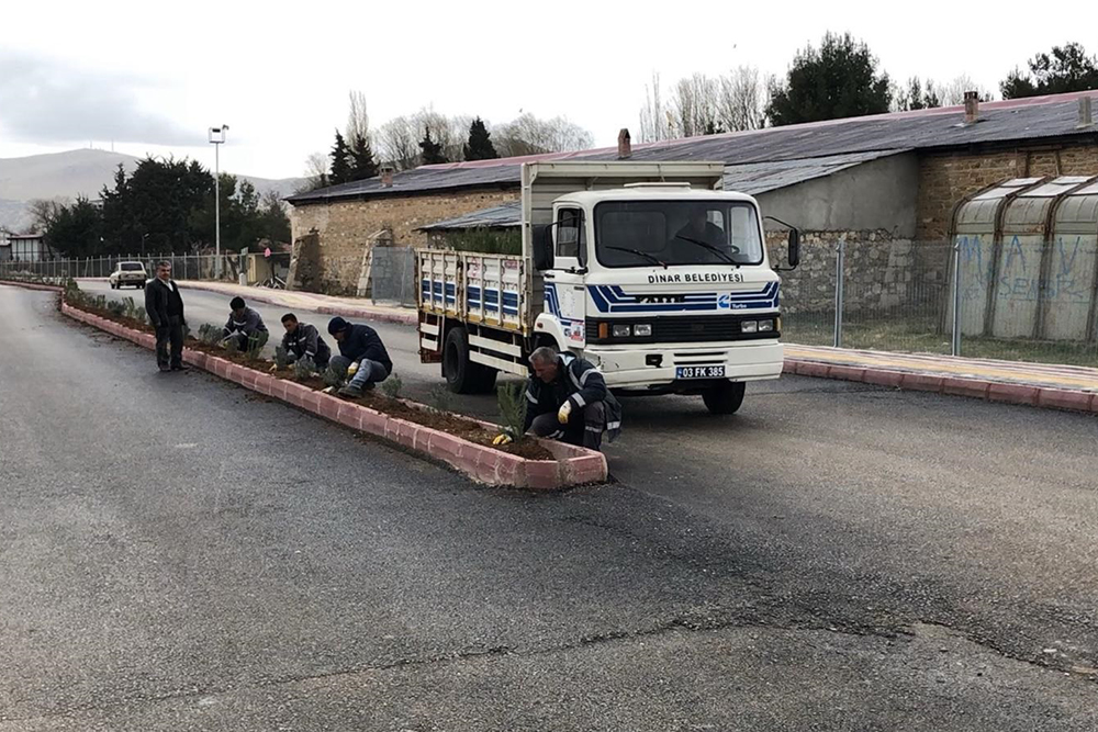 Yeni Yapılan Duble Yola Fidan Dikimi Yapıldı
