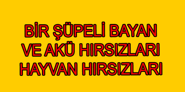 Dinar İlçe Emniyet Müdürlüğü Bir çok Başarılı çalışmaya Daha İmza Attı