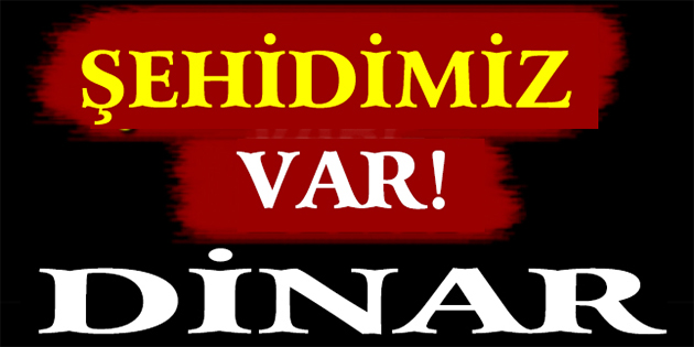 Dinar şehidimiz Var