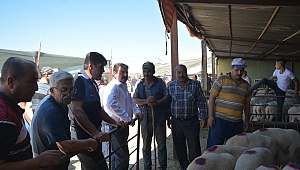 Başkan Sarı Kurban Pazarını Ziyaret Etti