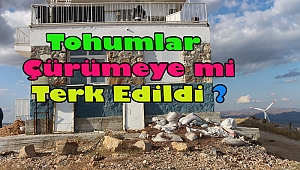 Dinar'da Çam Tohumları Çürümeye mi Terk Edildi?