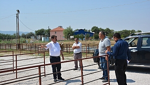 Dinar'da Hayvan Pazarı Kurban Bayramına Hazır