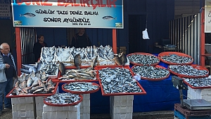 Dinar'da 20 çeşit Balık Görücüye çıktı