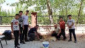 Dinar'da Öğrencilerin Çok Sevdiği Çomar'a Serum Takıldı