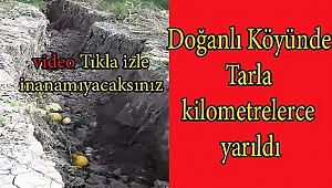 Dinar Doğanlı bölgesinde tarlada oluşan yarık belli oldu