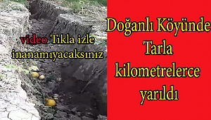 Dinar Doğanlı Köyünde Tarlada Büyük Yarık Oluştu