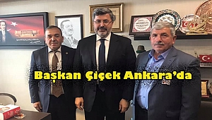Başkan Şuayip Çiçek Beldesi için Ankara'da