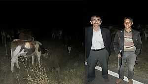 Dinar Yıprak Köyünde Hayvan Hırsızları Kaçtılar