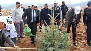 Başmakçı'da Fidan Dikildi