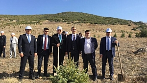 Dinar Adalet Ormanına 500 Karacam Dikildi
