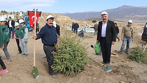 Dinar Çakıcı'da Fidan Dikildi