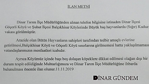 Dinar ve Şuhut köylerinde KUDUZ Vakası