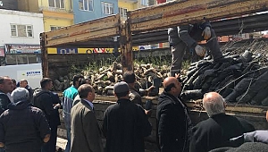Dinar Orman İşletme Müdürlüğünce Yarın Fidan Dağıtımı Gerçekleştirilecek
