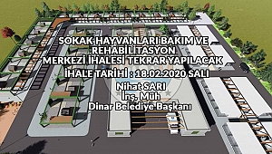 Sokak Hayvanları Rehabilitasyon Merkezi ihalesi tekrar yapılacak