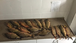 Dinar Çayüstü Köyünde Kaçak Avlananlar Yakalandı