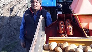 Dinar'da Patates Ekimleri Başladı