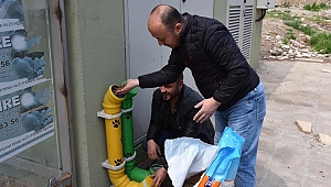 Dazkırı Belediye Başkanı İsmail Taylan Sokak Hayvanlarını Unutmadı