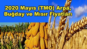 2020 Mayıs (TMO) Arpa, Buğday ve Mısır Fiyatları