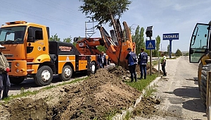 Ağaç Kesmek Yerine Ağaçlar Sökülerek Başka Alana Dikildi