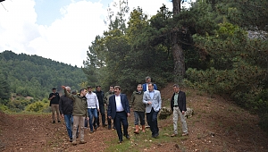Norgas Tabiat Parkında incelemelerde bulunuldu