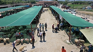 Başkan Sarı Hayvan Pazarını Ziyaret Etti