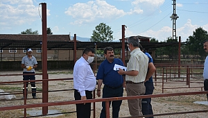 Hayvan Pazarı Kurban Bayramı’na Hazırlanıyor