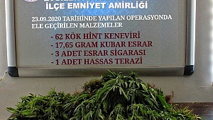 Evciler'de Uyuştucu Operasyonu