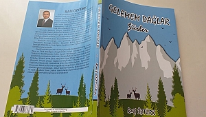 ŞAİR-YAZAR RAİF ÖZTÜRK’TEN YENİ BİR ŞİİR KİTABI: GELEMEM DAĞLAR