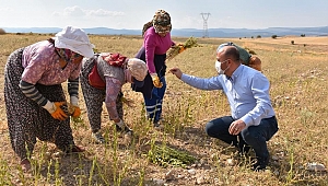 SLOGANIMIZ ÜRETEN BELEDİYE