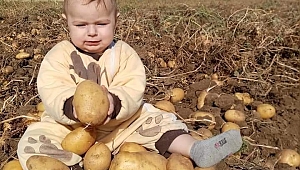 Dinar Çöl Ovasından Mektup 