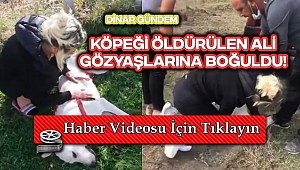 Köpeği vurulan Aliye gözyaşlarına boğuldu