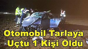 Otomobil Tarlaya Uçtu 1 Kişi Öldü