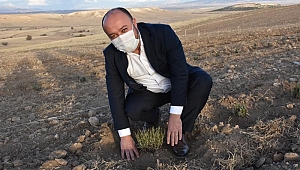 LAVANTA ÜRETİMİMİZİ ARTTIRIYORUZ
