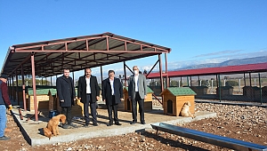 Sahipsiz Sokak Hayvanları Rehabilitasyon Merkezimiz kış şartlarına hazır hale getiriliyor