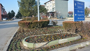 Dinar İlçemizde peyzaj çalışmaları devam ediyor