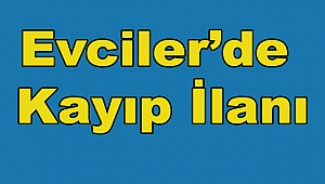 Evciler’de Kayıp İlanı