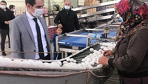 Evciler Kaymakamı Yumurta Çiftliğini ziyaret etti